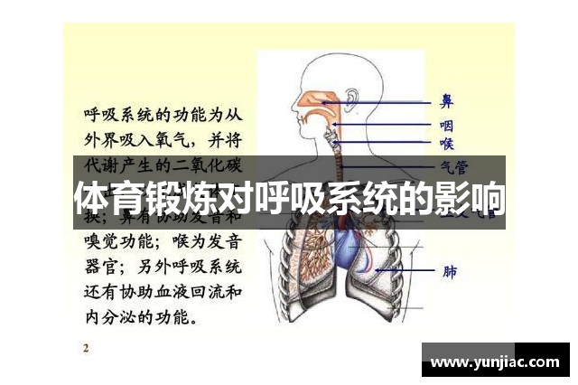 体育锻炼对呼吸系统的影响